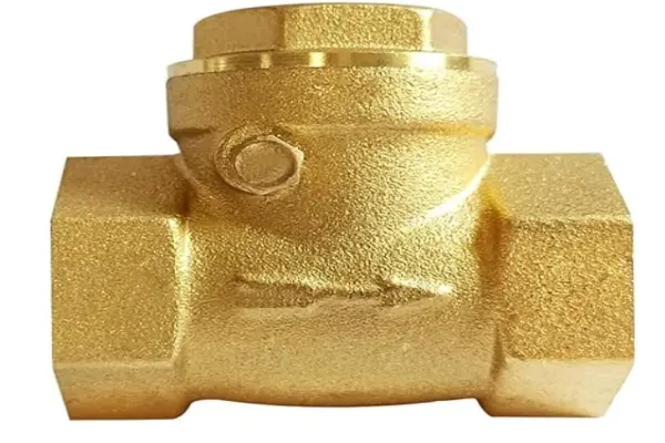 Check valve